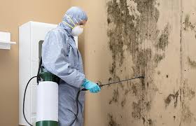 Best Mold Removal for HVAC Installations  in New Deal, TX